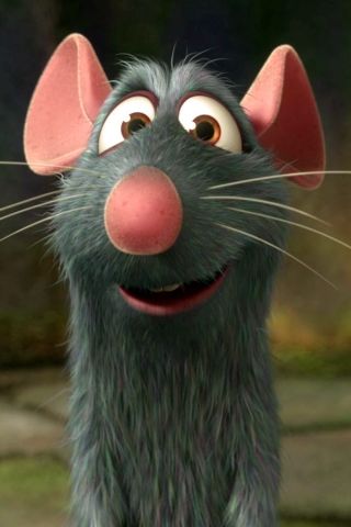 Ratatouille - The Art of Animation RPG